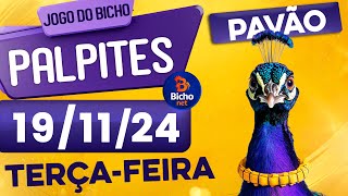 PALPITE DO DIA 19/11/2024 - JOGO DO BICHO 🍀 TODAS AS LOTERIAS 🍀