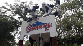 Wisata semarang cimory on the valley