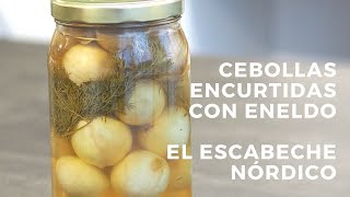 Cebollas encurtidas en vinagre con eneldo.