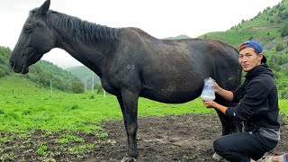 The Traditional Drink Of Nomads Is KUMYS From Horse Milk And Kuurdak From Lamb In The Mountains