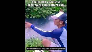 Perjuangan Bikin Konten Mancing / The Struggle to Create Fishing Content #Shorts