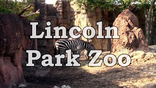 Zoologico en Chicago y Los Puentes de Madison en Iowa | USA 2019 #3