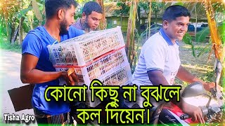 খামারে এসে পছন্দ করে নিয়ে গেলেন টাইগার মুরগির বোর্ডিং করা বড় সাইজের বাচ্চা 😊💥 / শখের খামার