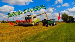 🔥💚ŻNIWA 2021 Z CLASSĄ💚🔥PSZENŻYTO POD KOSĘ🔥💚CLAAS LEXION 540 W AKCJI💚🔥MTZ🔥PRONAR🔥