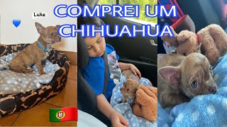 COMPREI UM CHIHUAHUA EM PORTUGAL!🇵🇹🦮