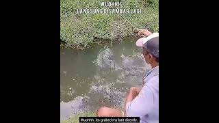 Hepi Mancing Wader Bebi / Barb Fishing Full Strike #Shorts