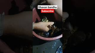 konkan konkan#dhavan bandhu