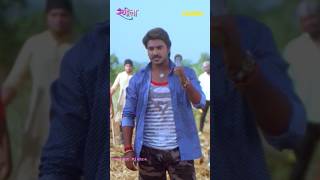 Rangeela | Bhojpuri Movie | Pradeep Pandey | Chaupal | #shorts #bhojpuri #youtubeshorts #shortvideo