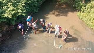 Pêche inventaire rivière SEREINE