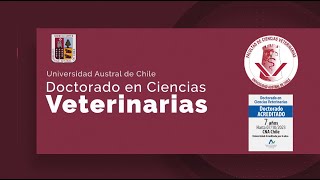 DOCTORADO EN CIENCIAS VETERINARIAS - Universidad Austral de Chile. Admisión 2022