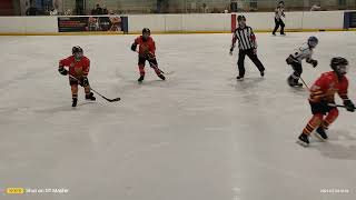 ŻM🏒 Toruń ter.1🏒kol.7🏒24.02.2024