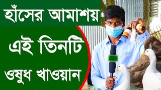 হাঁসের আমাশয় রোগের ওষুধ | সাবধান আমাশয় থেকে  |Medications for diarrhea | Uddokta | uddoktar safollo