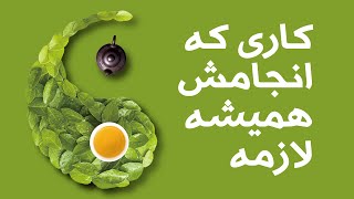 قهوه و چای در پارک جنگلی تندوره درگز