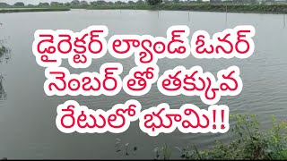 #land for sale #real estate#lowcost #fish tanks#royal real estate TV #చేపల చెరువులు