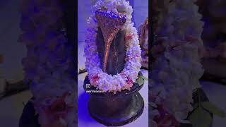 हर हर महादेव #जय शिव शम्भु #love सब की मनोकामनाएं पूर्ण करे  🌹🙏#love