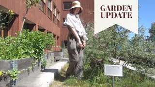 Mori girl vlog // Garden updates and outfits // instagram giveaway in description