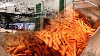 Carrot & Potato Box and Big Bag Filling with Tong UniFill