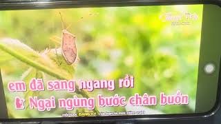 ♥️Nhạc: SẦU ĐÔNG (mời nam Sc)