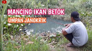 UMPAN JANGKRIK || Streak BETOK || traditional fishing