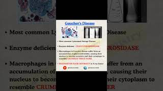 #NEETPG #BIOCHEMISTRY MCQ | Gaucher's Disease | Crumpled tissue paper appearance of macrophages