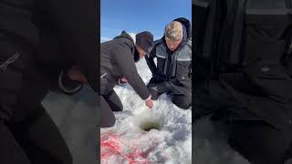 Spooled by a lake trout AGAIN!! #icefishing #fishing #maineoutdooradventures