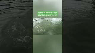 Quantas vezes ? Conta aí ! #fishing #pesqueesolte #pescaesportiva #pescaria #pesque