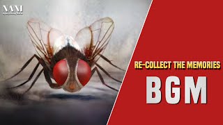 Eega Movie - Eega Recollect The Past / Memories || Nani || Samantha || #nanibgmandediting