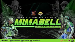 [MATCHDAY] WEEKLY SCRIM by MIMABELL WEEK 29 - SQUAD BATTLE ROYALE TOURNAMENT | COD Mobile