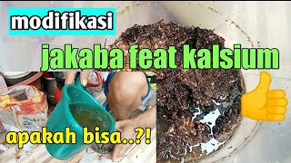 jakaba plus plus hasil modifikasi