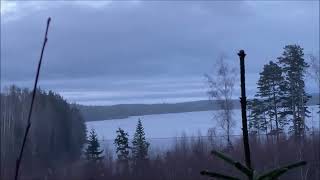 Ancient burial site in the forest in Norway