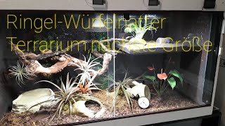 #Ringelnatter - #Würfelnatter Terrarium,nächste Größe.Technik&Einrichtung. #natrix #schlange