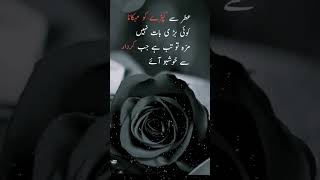 عطر سے کپڑے کو مہکانا کوئی بڑی بات نہیں #deeplines #trendingshorts #youtubeshorts #urdupoetry