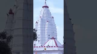 #short_video maa samaleswari temple short video 🙏🙏🙏