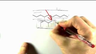 Lecture Problem: Picking the Correct Parent Chain when Naming Organic Compounds