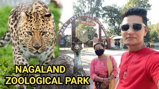 NAGALAND ZOOLOGICAL PARK, RANGAPAHAR, DIMAPUR 🔥🔥