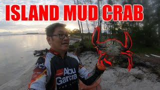 🏕️🎣🦀 THE ISLAND PROVIDES - SOLO CAMPING TRIP (PART 2/3)