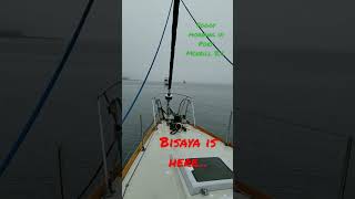 We are in Port Mcneill to get some supplies #PortMcNeil #shorts #foggy #sailing #morgan45sailboat