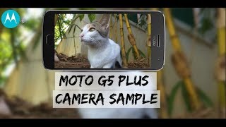 MOTO G5 PLUS CAMERA REVIEW - VIDEOS & PHOTOS SAMPLE