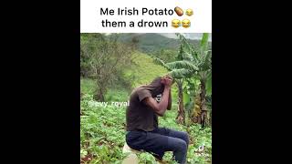 Mi Irish potato them a drown