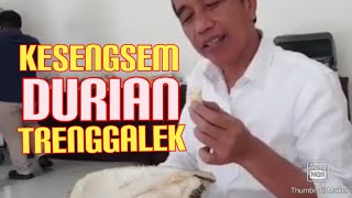 Pak Jokowi Kesengsem Durian Trenggalek