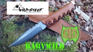 WILDSTEER BABYWILD TEST COMPLET (Fr)