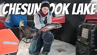 Bringing My Dog Ice Fishing & Night Time Cusk Fishing