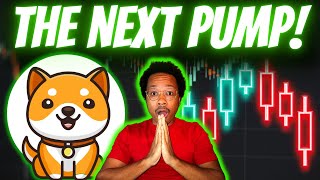 BABY DOGE ARMY: The Next PUMP Could Be Coming SOON