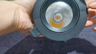 Lipal Round Adjustable Downlight D1100 Actual Video