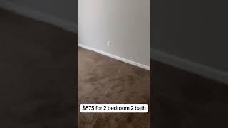 Would you give this apartment a go for $875 a month ?#shortsvideo #apartment #apartmenttour #georgia