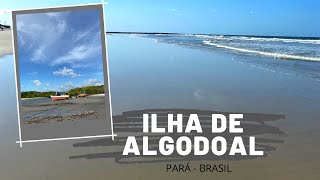 ILHA DE ALGODOAL | PARÁ