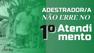 Como fazer o primeiro atendimento como adestrador