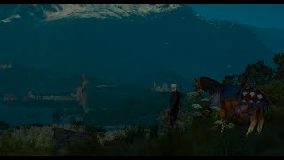 I Can't Say It's Filler Friday So It's Filler Thursday | The Witcher 3: Wild Hunt VOD