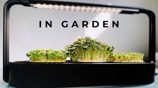 In Garden Microgreen Indoor Garden | Unboxing & Demo