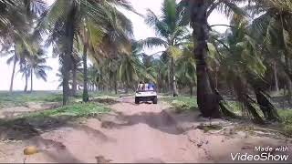 Passeio de Buggy praia do Gunga (dj alok) parte 1